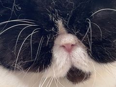 -平行世界·猫咖(首经贸店)