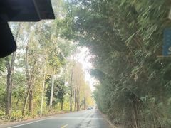 -白鹭湾湿地公园