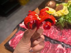 -掂档潮汕牛肉火锅(沈阳万象城店)
