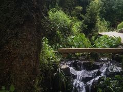 -塔川景区