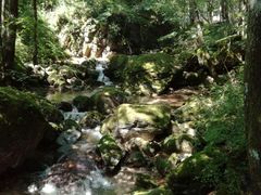 -牛背梁国家森林公园