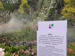 -深圳仙湖植物园