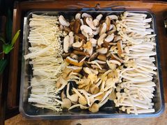 金针菇-仄园围炉坊·牛肉火锅·汕头卤水火锅(蛇口店)