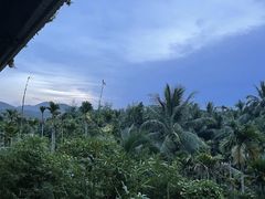 -万兴启丰椰子文化园餐厅