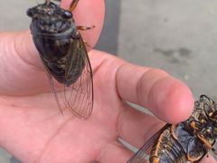 -苏州河梦清园环保主题公园