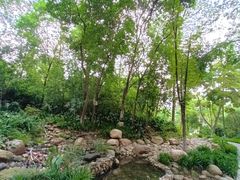 -成都市活水公园