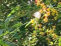 -海底捞火锅(方圆荟店)