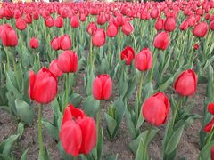 -长春公园(普阳街道)