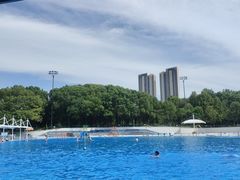 -月湖风景区