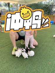 -萌宠亲子动物乐园(槐房万达店)