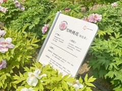 -太阳宫公园