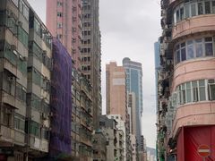-油麻地果栏