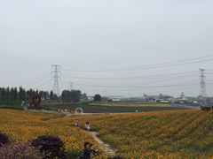 -紫颐香薰山谷景区