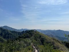 -大岭沟猕猴桃谷风景区