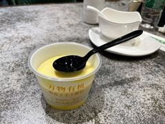自制酸奶-紫光园(创始店)