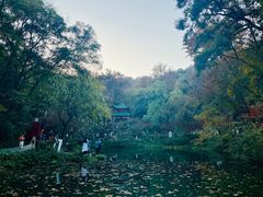 -岳麓山风景名胜区