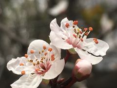 -四川大学(望江校区)