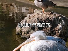-昆明动物园