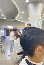 -蚂蚁造型沙龙