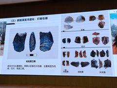 -四川大学博物馆