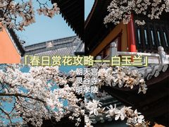 -鸡鸣寺