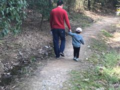 -溪口-滕头旅游景区