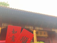 -深圳仙湖植物园