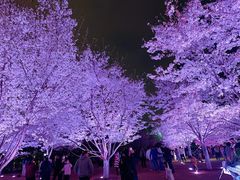 -西北湖绿化广场