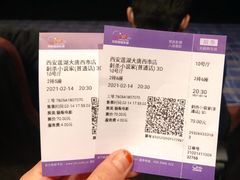 -中影国际影城(大唐西市4K临境音店)