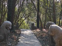 -采石矶景区