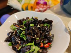 凉拌黑木耳-润泽园椰子鸡(汇一城店)