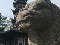 -上海佘山国家森林公园西佘山园