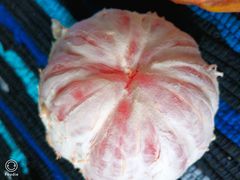 -人人乐(解放路二店)