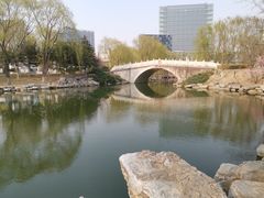 -大兴滨河森林公园