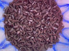 -南坛综合农贸市场