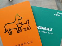 -乐派堂宠物医院·猫友好· 心脏科(东街店)