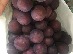 -马陆小张葡萄园农家乐