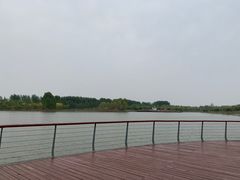 -东郊湿地公园
