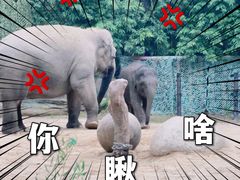 -广州长隆野生动物世界