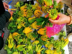 -太平天国侍王府