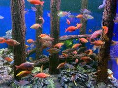 -威海华夏城景区