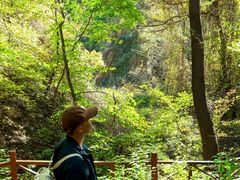 -大岭沟猕猴桃谷风景区