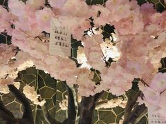 -蓝鲸湾汤泉(包河店)