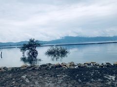 -大理洱海