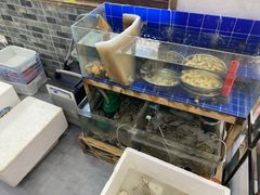 -阿杰臻选海鲜饭店(普陀山店)