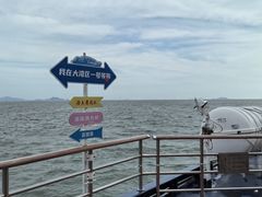 -招商蛇口邮轮母港(观光客运)