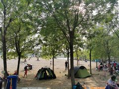-东郊湿地公园