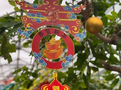 -南宫五洲植物乐园