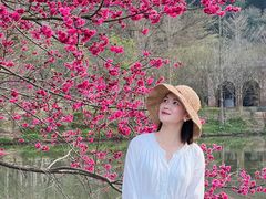 -田野绿世界