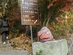 -紫金山山顶公园
